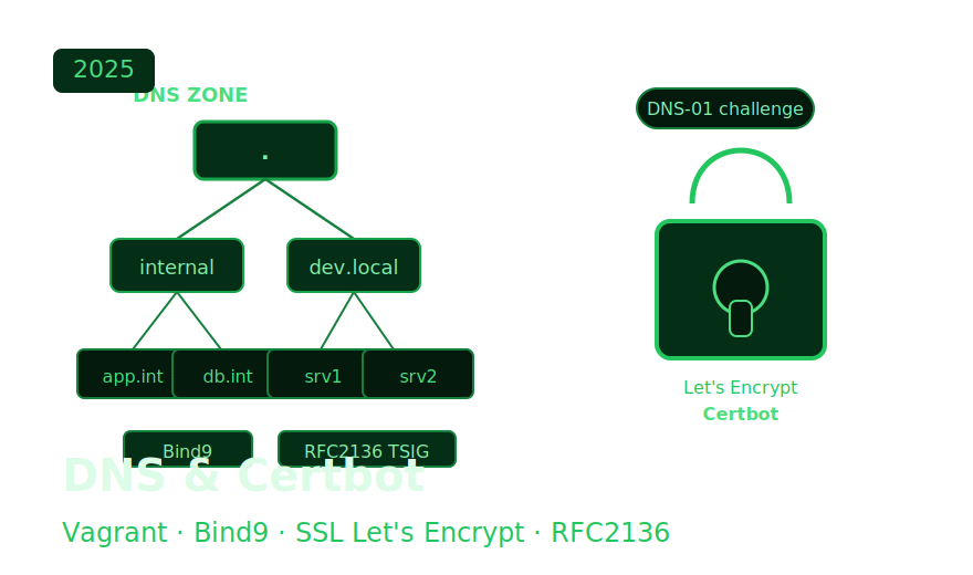 DNS & Certbot